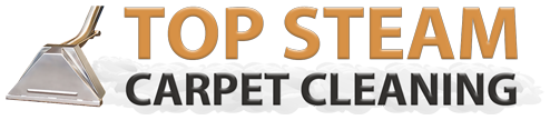 Top Steam Carpet Cleaning